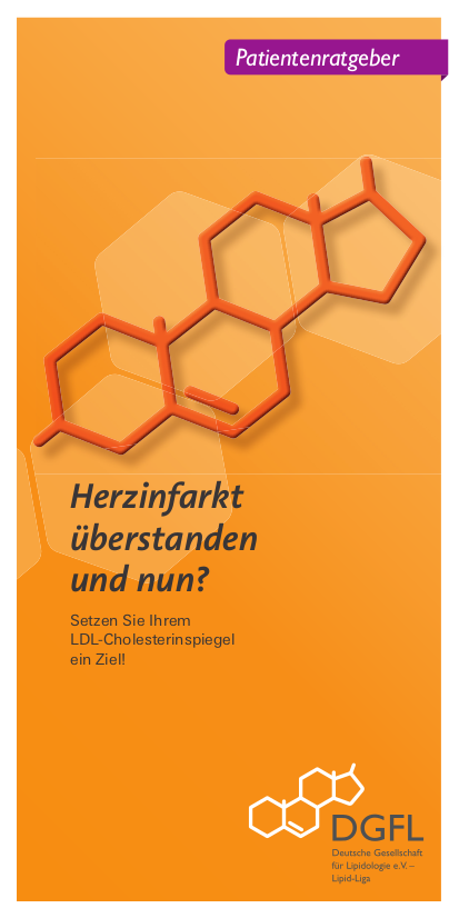 Patientenratgeber Herzinfarkt überstanden und nun?